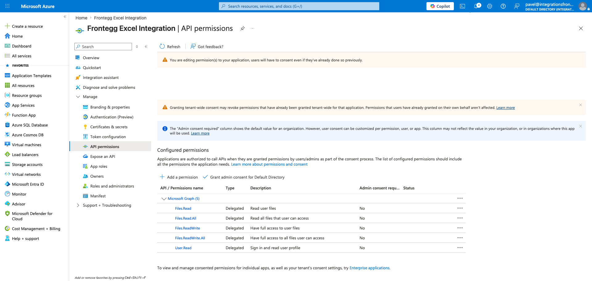 API permissions page showing the configured Microsoft Excel permissions
