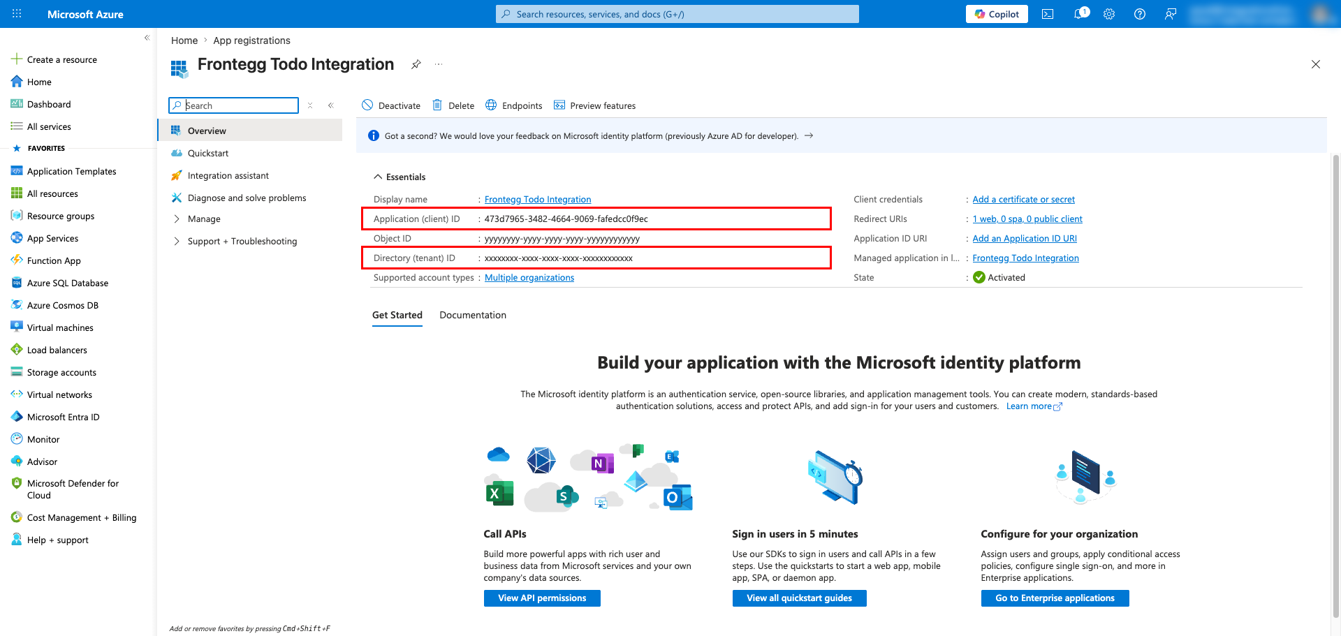Application overview page with Application ID and Directory ID highlighted