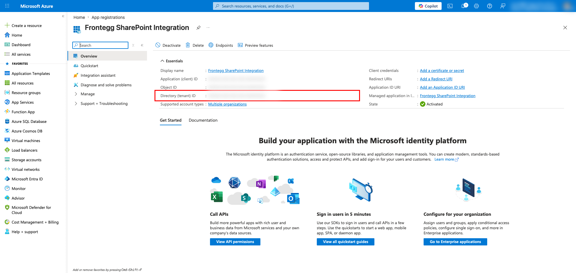 Application overview page with Application (client) ID and Directory (tenant) ID highlighted